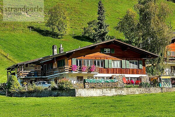Grindelwald  Schweiz Luftbild Sommer Schweizer Alpen Berge Panorama Landschaft  Holzchalet Hütte auf grünen Wiesen