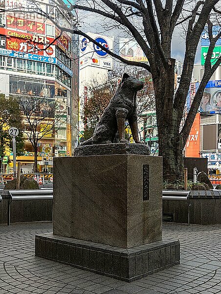 Ein Bild der Hachiko Gedenkstatue in Shibuya (Tokio)