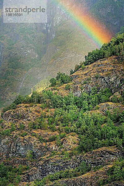 Regenbogen in Norwegen Berge Wald in der Nähe Fjord im Sommer  Hintergrund mit copyspace
