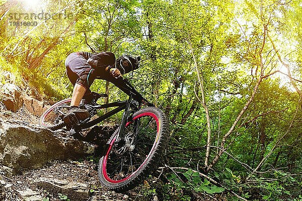 Ein junger Fahrer auf einem Fahrrad für Downhill steigt die Felsen im Wald hinunter