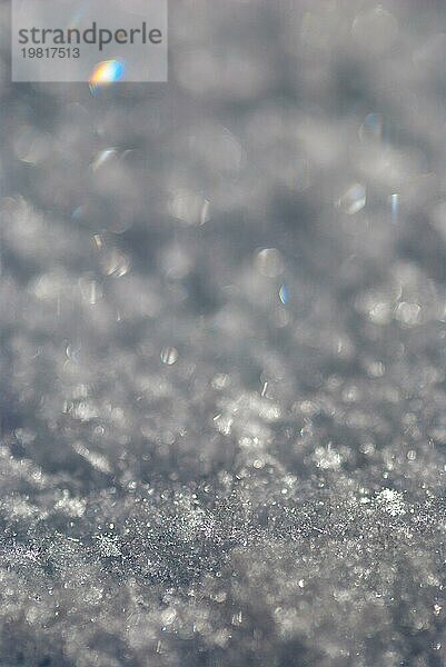 Glänzende Schneekristalle  Schneeflocken in einer Makroaufnahme mit minimaler Schärfentiefe  in einigen Schneekristallen bricht sich das Licht zu Regenbogenfarben  Lichtbrechung  Physik  Schneedecke an einem sonnigen Wintertag  Bokeh  stimmungsvolles Licht mit subtilen Glanzpunkten  Niedersachsen  Deutschland  Europa