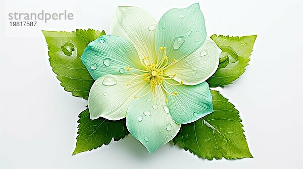 Eine zarte hellblaue Blume mit frischen Wassertropfen auf den Blütenblättern und grünen Blättern Ai erzeugt