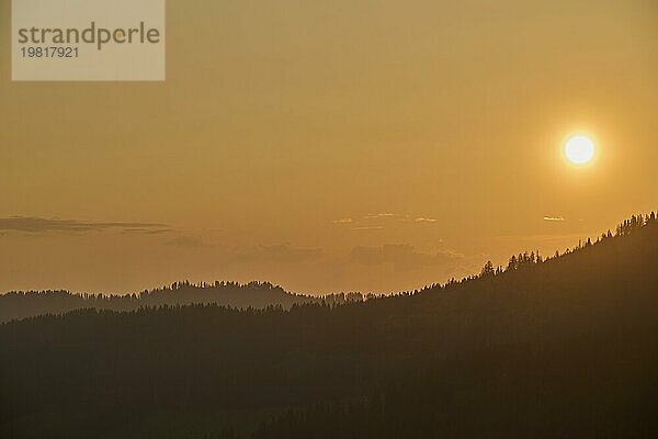 Golden beleuchtete Hügelsilhouetten und Bäume im Sonnenuntergang  strahlen Ruhe aus  Sonnenuntergang  Gurnigel Pass  Kanton Bern  Schweiz  Europa