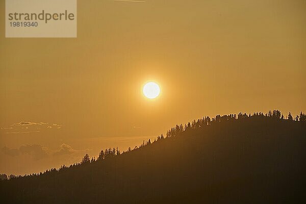 Golden beleuchtete Hügelsilhouetten und Bäume im Sonnenuntergang  strahlen Ruhe aus  Sonnenuntergang  Gurnigel Pass  Kanton Bern  Schweiz  Europa