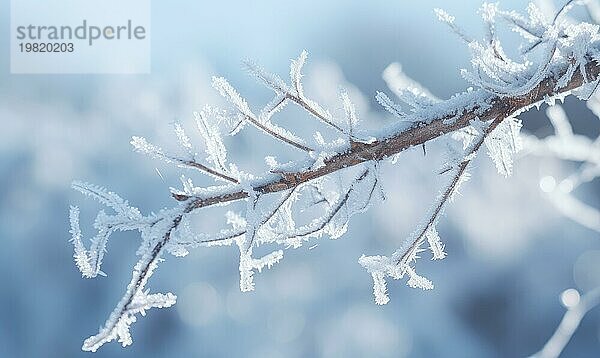 Eisige Zweige vor einem strahlend blauen Winterhimmel evozieren eine heitere  kalte Atmosphäre  die AI erzeugt  KI generiert