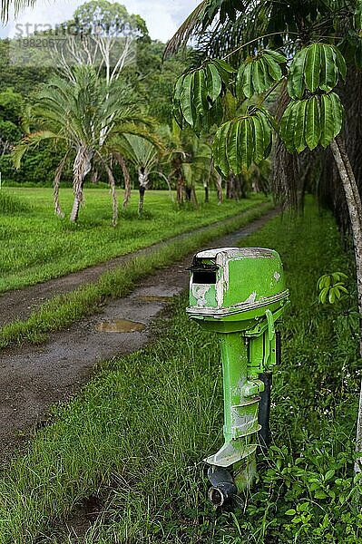 Typischer individueller Briefkasten  Post  Mail  Kommunikation  traditionell  Analog  Postkasten  Postbox  Witzig  Gag  Humor  Queensland  Australien  Ozeanien