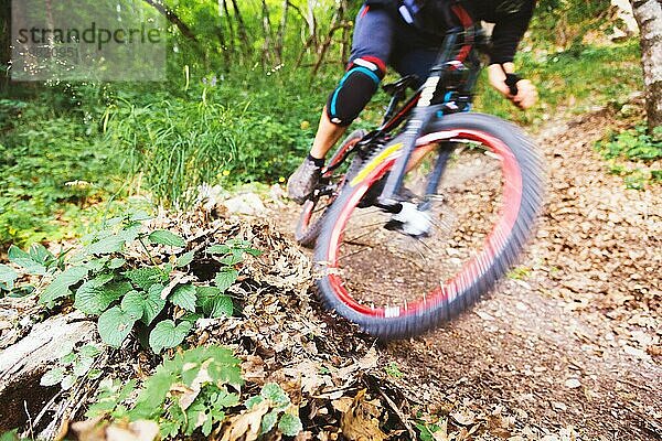 Ein junger Fahrer auf einem Fahrrad für bergab steigt die Felsen im Wald hinunter. High Speed Passage der Gegendrehung mit Drift auf dem Boden und fliegende Blätter