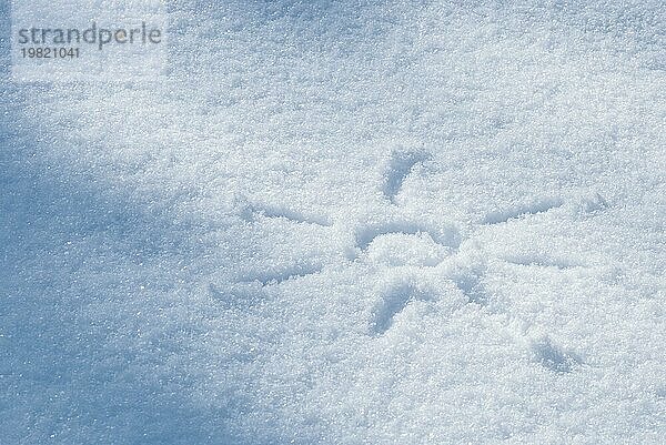 Aufgemalte Sonne in einer glitzernden Schneedecke  sonniger Wintertag  stimmungsvolles Symbolbild für Winter- Freuden  Winterurlaub  Niedersachsen  Deutschland  Europa