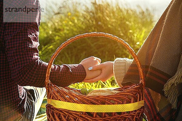 Blick von hinten. Junges Ehepaar hält sich bei einem Picknick in der Natur bei Sonnenuntergang an den Händen. Das Konzept einer glücklichen jungen Familie und die Einheit mit der Natur