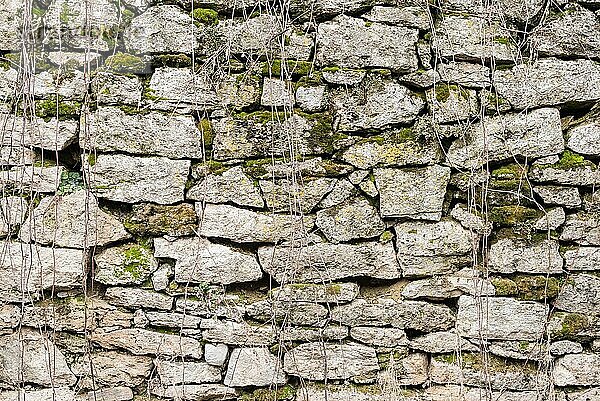 Texturierte Hintergrund unregelmäßige Natursteinmauer ist aus verschiedenen Steinen mit Elementen der natürlichen Vegetation in Form von grünen Moos von Schimmel und Efeu gemacht. Mittelalterlicher Hintergrund