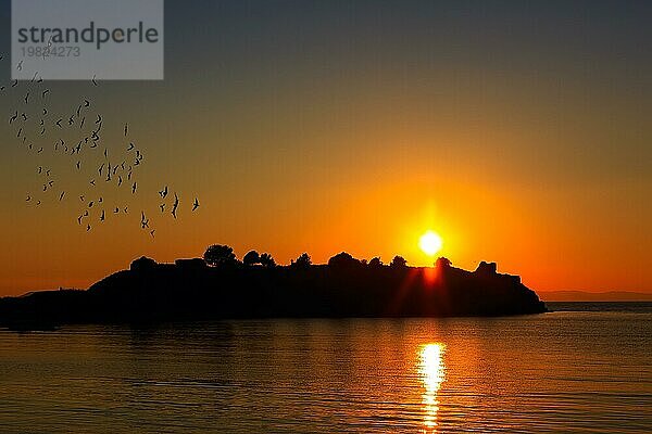 Goldener Sonnenuntergang über dem Meer in Griechenland Küste  Insel Silhouette und Vögel fliegen