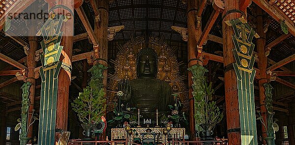 Ein Panoramabild der großen Buddhastatue der Hauptattraktion des Todai ji Tempels