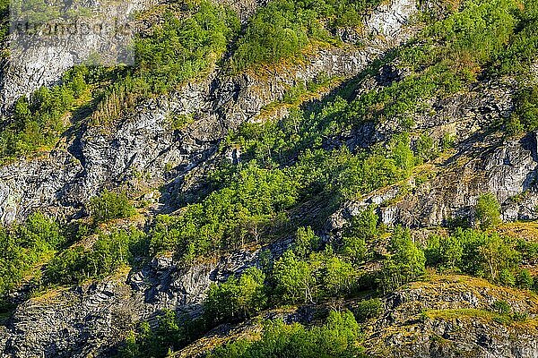 Norwegen felsigen Bergen und grünen Bäumen Wald in der Nähe Fjord im Sommer  Hintergrund mit copyspace