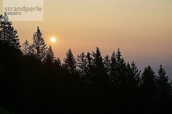 Sonnenaufgang mit der Silhouette eines Waldes im Vordergrund und einem orange gefärbten Himmel  Gurnigel Pass  Kanton Bern  Schweiz  Europa