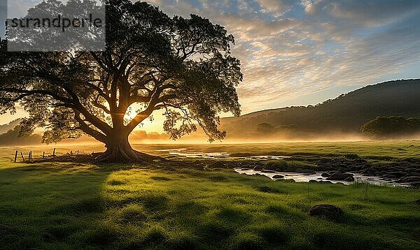 Ein heiterer Sonnenaufgang mit hellen Strahlen  die den Nebel hinter einem einsamen Baum in einer ländlichen Landschaft durchdringen AI erzeugt  KI generiert