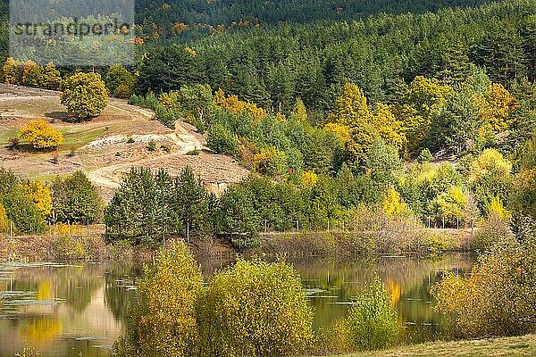 Goldener magischer Herbstwald mit bunten Herbstbäumen. Romantische Seenlandschaft