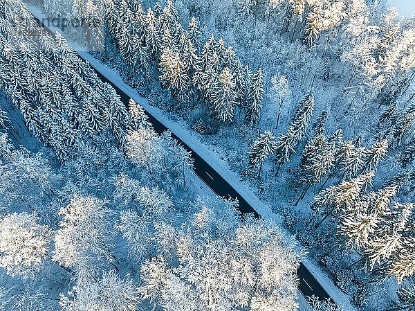Die Draufsicht auf einen Winterwald mit Straße zeigt die Schönheit der kalten Jahreszeit  Gechingen  Luftbild  Schwarzwald  Deutschland  Europa