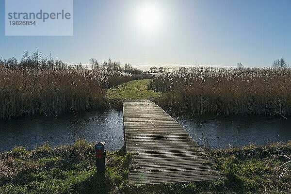 Brücke im Gegenlicht  Sonne  Nationalpark De Alde Feanen  das alte Fenn  Earnewald  Eernewoude  Friesland  Fryslân  Niederlande  Europa