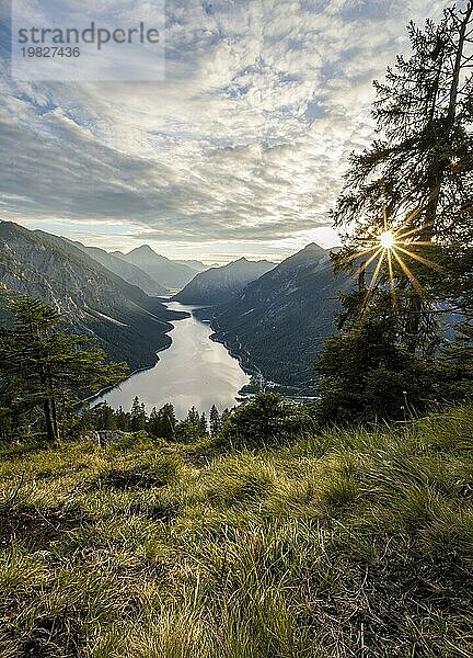 Ausblick auf den Plansee vom Schönjöchl bei Sonnenuntergang  Sonnenstern  Berge mit See  hinten Gipfel des Thaneller  Ammergauer Alpen  Bezirk Reutte  Tirol  Österreich  Europa