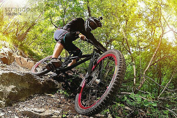 Ein junger Fahrer auf einem Fahrrad für Downhill steigt die Felsen im Wald hinunter