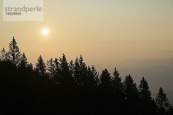 Sonnenaufgang mit der Silhouette eines Waldes im Vordergrund und einem orange gefärbten Himmel  Gurnigel Pass  Kanton Bern  Schweiz  Europa