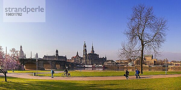 Frühling am Königsufer in Dresden