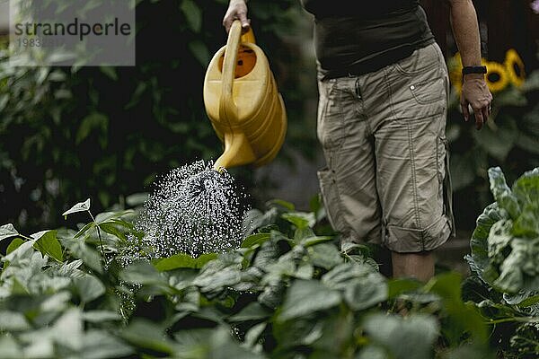 Symbolic image on the topic of gardening: A woman watering plants in the garden in Vierkirchen with a watering can  18/08/2023