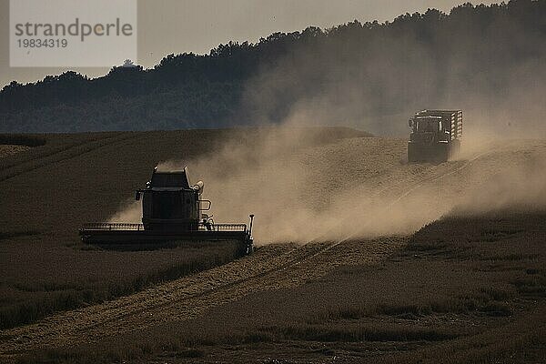 A combine harvester in a field  photographed near Friedersdorf  18/08/2023