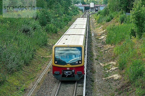 Teltow  Brandenburg  Deutschland  10. September 2019: Die S Bahn 25 fährt in Richtung Hennigsdorf in der Nähe des Bahnhofs Teltow  Europa