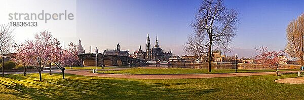 Frühling am Königsufer in Dresden