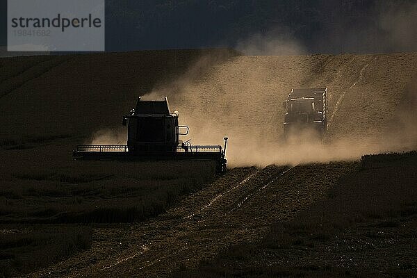 A combine harvester in a field  photographed near Friedersdorf  18/08/2023