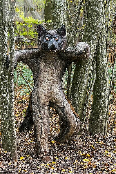 Gruselige Werwolfpuppe im Wald  Waldland  Mensch mit der Fähigkeit  sich in einen Wolf zu verwandeln  in der europäischen Folklore