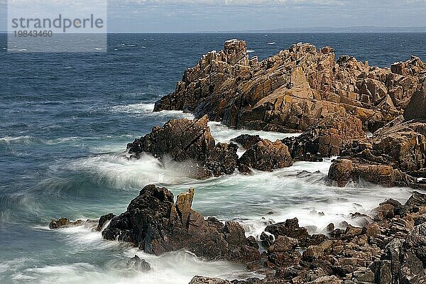 Felsen am Strand und Klippen entlang der felsigen Küste bei Käringmalen  Kaeringsmalen  Kullaberg  Kullen  Skåne  Schonen  Schweden  Europa