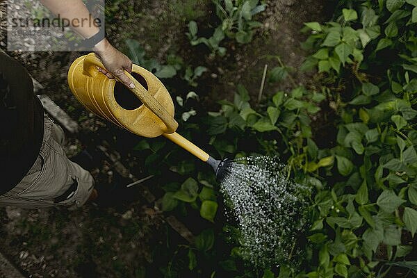 Symbolic image on the topic of gardening: A woman watering plants in the garden in Vierkirchen with a watering can  18/08/2023