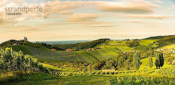 Südsteirische Weinberge Panoramalandschaft  Sulztal in Österreich. Blick auf die Weinberge von der Sulztaler Weinstraße im Sommer. Touristisches Ziel  Reiseziel