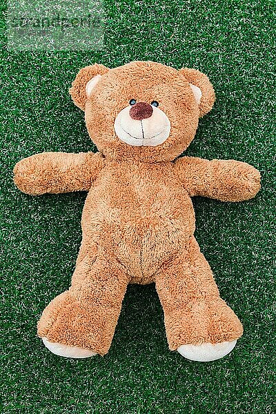 Niedlicher Teddybär auf grünem Gras Hintergrund