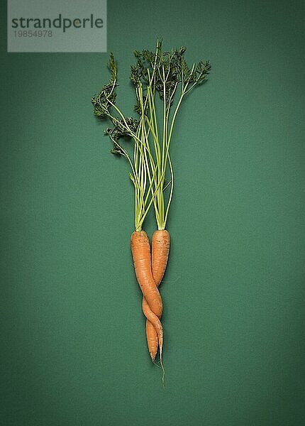 Karotten-Umarmung