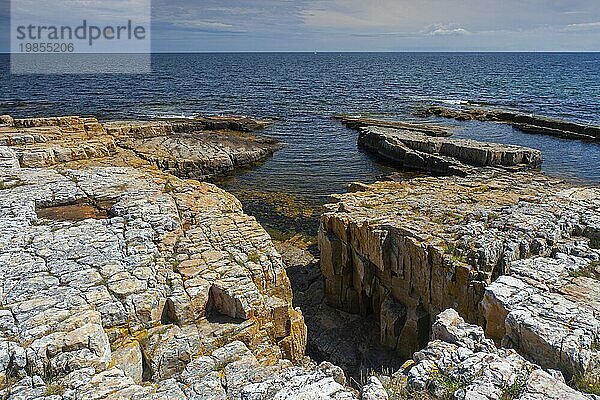 Felsenküste bei Varhallarna  Österlen  Skane  Schonen  Schweden  Europa