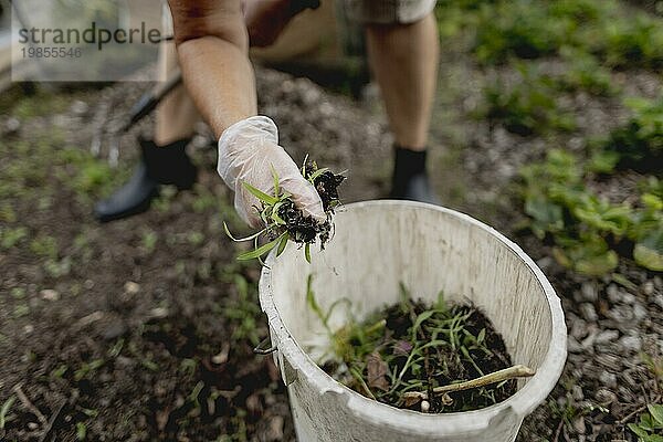 Symbolic image on the topic of gardening: A woman weeding a bed in a garden in Vierkirchen  18/08/2023