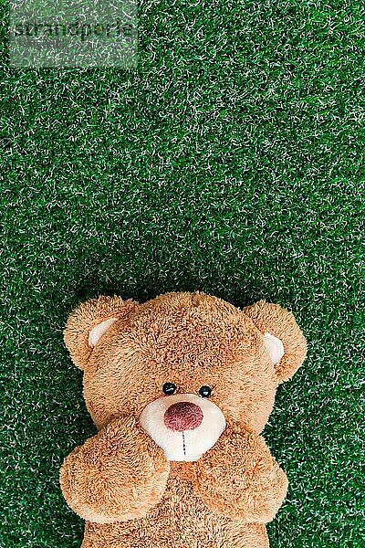 Niedlicher Teddybär auf grünem Gras Hintergrund