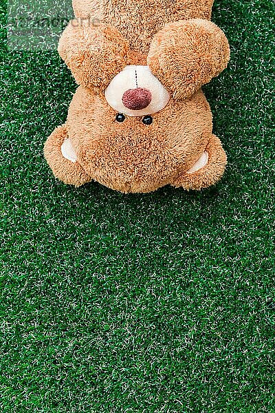 Niedlicher Teddybär auf grünem Gras Hintergrund