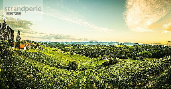 Südsteirische Weinbergslandschaft  Sulztal bei Gamlitz  Österreich  Eckberg  Europa. Blick auf die Weinberge von der Weinstraße im Sommer. Touristisches Ziel  Reiseziel  Europa