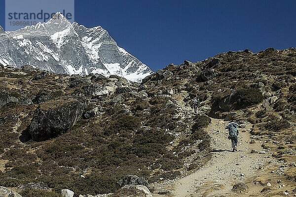Ein unabhängiger Trekker nähert sich Dingboche auf einem Trekking in der Everest Region. Der Lhotse (8516m)  der vierthöchste Berg der Erde  bildet hier den Hintergrund. Die hier zu sehende Südwand ist eine der größten Herausforderungen des Bergsteigens. Khumbu  die Everest Region  Himalaya. Der Sagarmatha Nationalpark  der zum UNESCO Welterbe gehört. Solukhumbu  Nepal  Asien