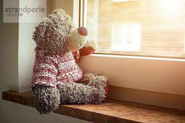 Niedlicher Teddybär sitzt auf der Fensterbank und schaut aus dem Fenster  Sonnenlicht