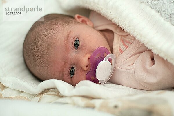 Neugeborenes Baby Portrait  Schönes Neugeborenes Kind saugt Schnuller  Kind vier Wochen alt
