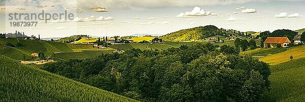 Weinberge Panorama Leibnitz Gebiet berühmtes Ziel Weinstraße Gebiet Südsteiermark an der Grenze zu Slowenien. Weinland im Sommer. Touristisches Ziel. Grüne Hügel und Feldfrüchte