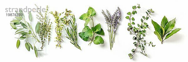 Frische aromatische Kräuter  Overhead Flat Lay Panorama auf einem weißen Hintergrund. Bündel von Rosmarin  Lavendel  Thymian und verschiedene andere Zutaten der mediterranen Küche