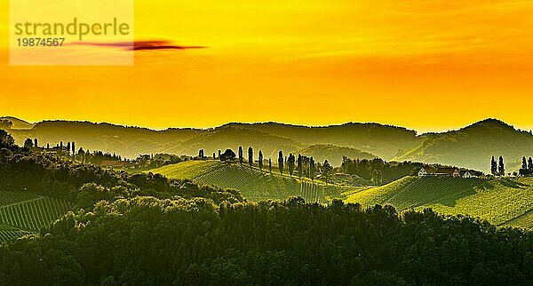 Panorama der südsteirischen Weinbergslandschaft in Eckberg bei Gamlitz  Österreich. Blick auf Weinfelder in der Abendsonne im Sommer. Touristisches Ziel