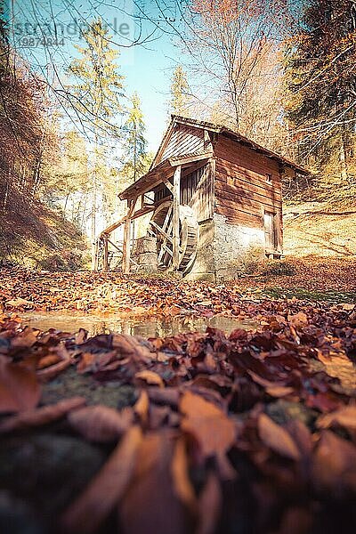 Idyllische Wassermühle in Österreich  Herbstzeit  Wald im Herbst