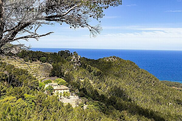 Blick auf die Küstenlinie im Norden Mallorcas zwischen Valldemossa und Bayalbufar